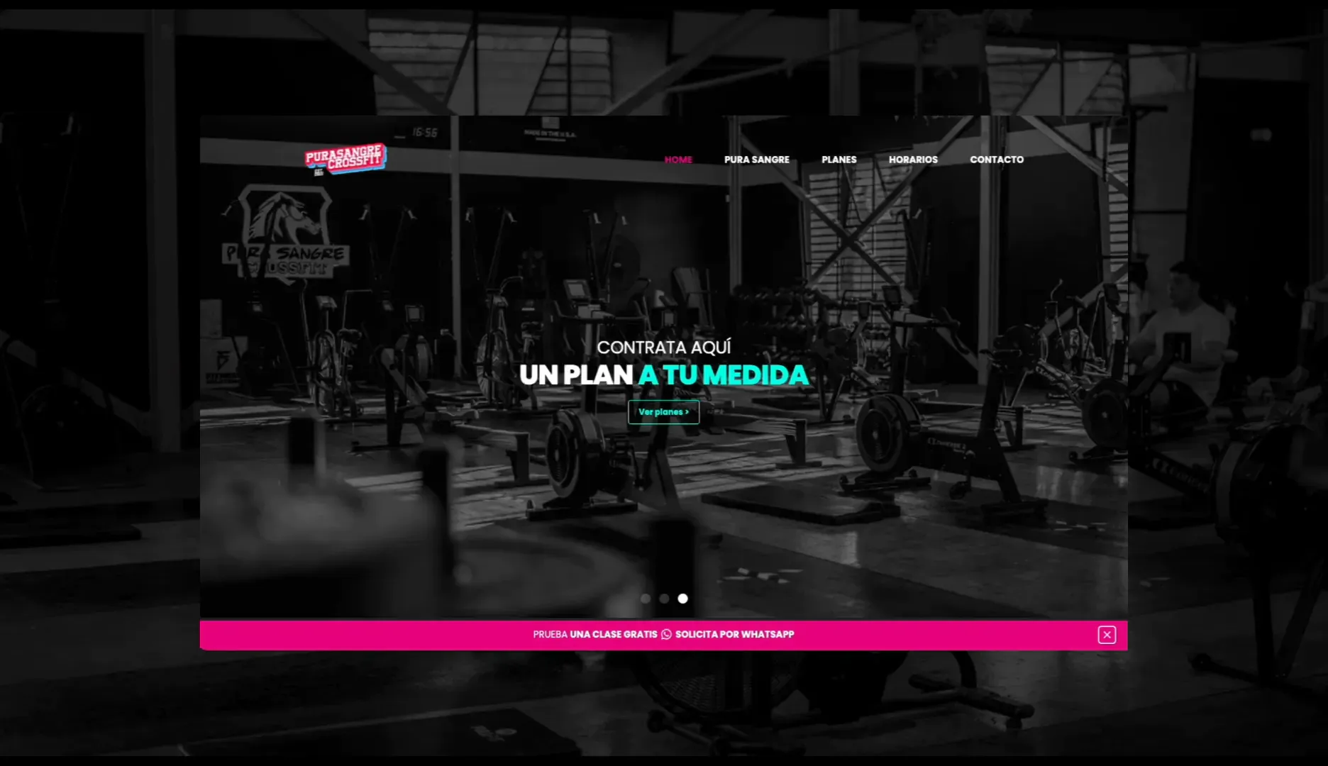 Pura Sangre CrossFit